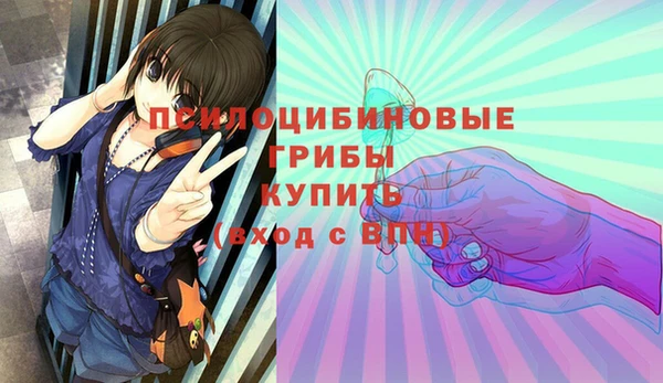 бошки Алексин