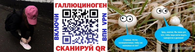 Псилоцибиновые грибы прущие грибы  ОМГ ОМГ вход  Николаевск-на-Амуре 